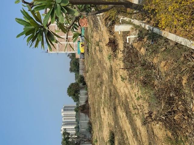 Lion Green Valley 2 125 Sq. Yd. Plot in Sohna Sector 6 Gurgaon Listing ID: #10014