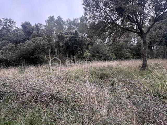 Liausson Vente Terrain 34