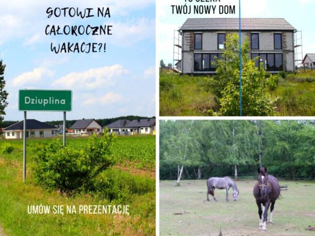 Śliczna 125,49 m², Dziuplina