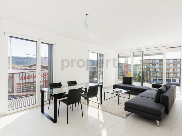 Lichtdurchflutete 4.5 Zimmer Neubauwohnung in Buchs Kanton Zürich