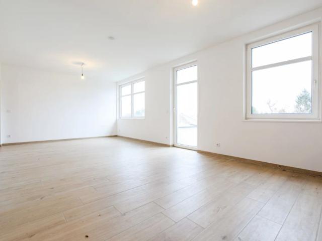 Lichtdurchflutete 2 Zimmer Wohnung mit 20 m² Terrasse und Grünblick in Mödling