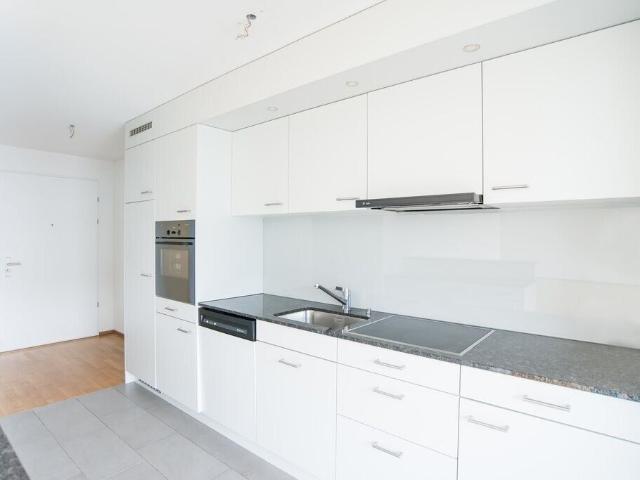 Lichtdurchflutete Wohnung | dreamo. Ch