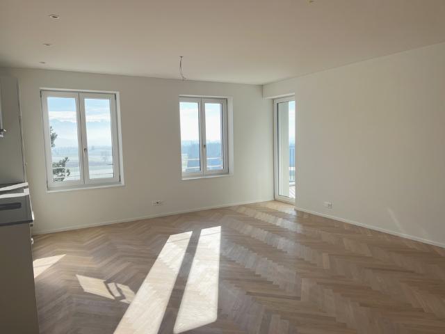 Lichtdurchflutete, moderne Wohnung mit Altbaucharme