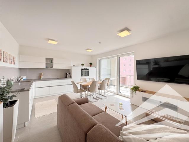 Lichtdurchflutete Neubauwohnung mit großem Balkon & TG Stellplatz in Linz/Wegscheid