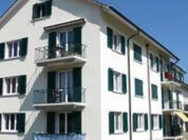 Lichtdurchflutete renovierte Wohnung