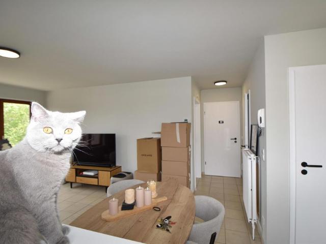 Lichtrijk 1 slk. app. met een bew. opp. van 50m² te Turnhout
