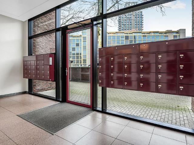 Lichtstraat 578
