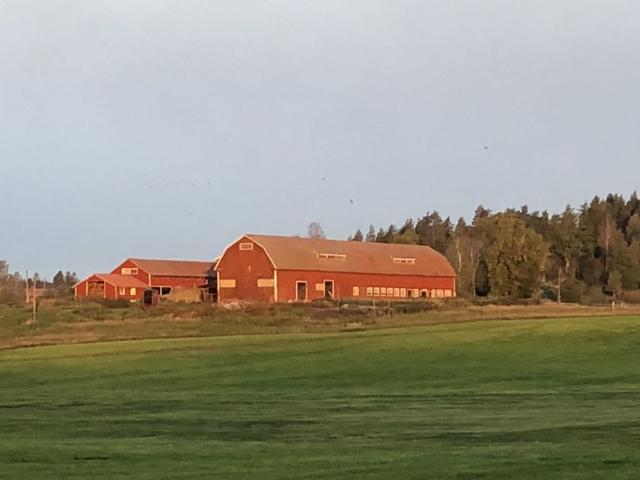 Lida Gård, Gamleby