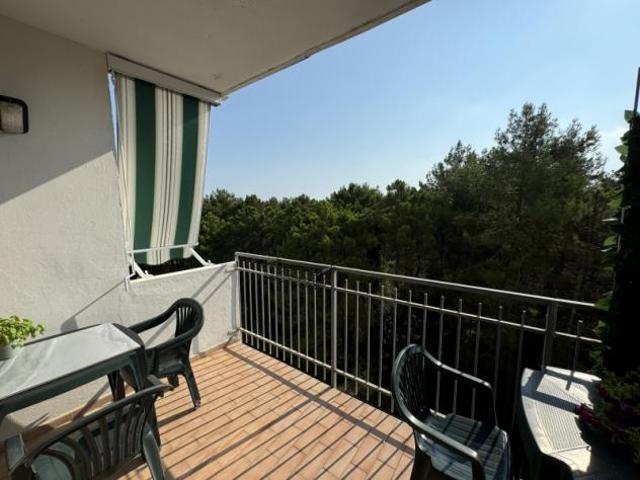 Lido di Spina, trilocale come nuovo, TERRAZZA VIVIBILE, vista panoramica sulla pineta
