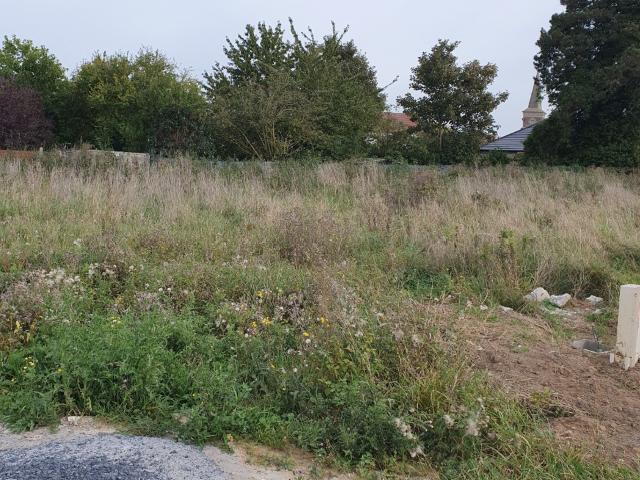 Liévin Vente Terrain 62
