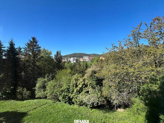 Liegenschaft mit 2 Häusern auf Über 2.000 m² Grund in St. Radegund bei Graz Sanierungsbedarf