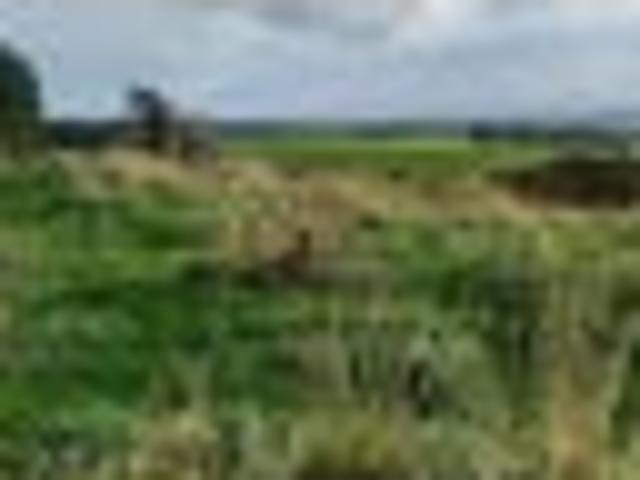 Lifestyle 1.1 Ha Block with Rural &.