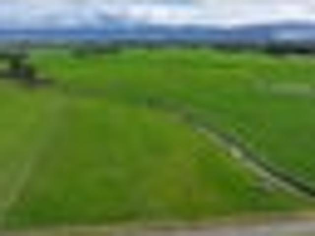 Lifestyle Bare Land in the Golden Triangle
