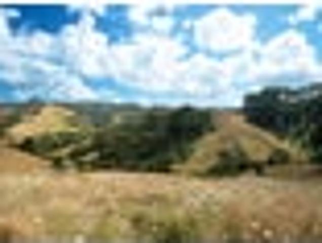 LIFESTYLE BLOCK – 5.15 HECTARES