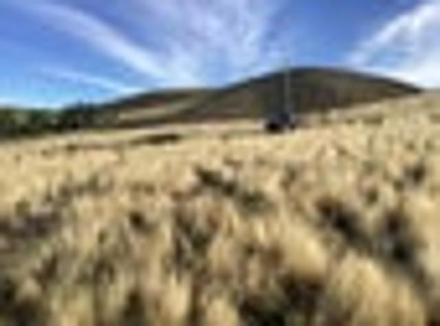 Lifestyle block, Ardgour Valley, Tarras