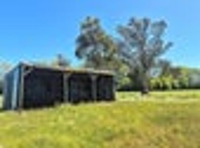 Lifestyle block with shed