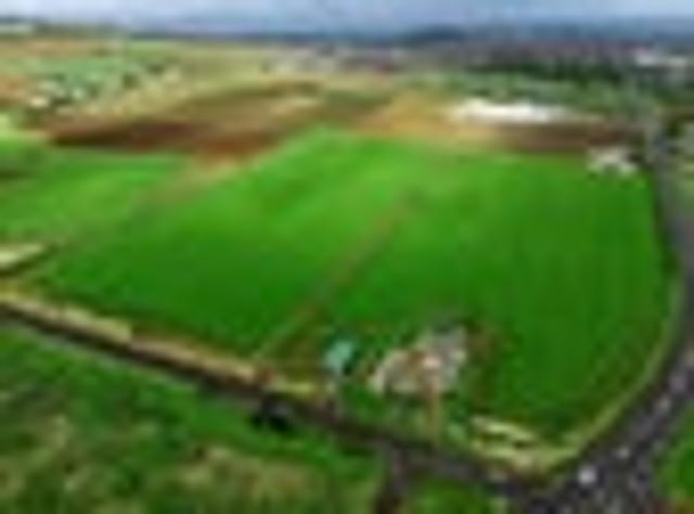 LIFESTYLE BLOCKS PUKEKOHE TOWN FRINGE