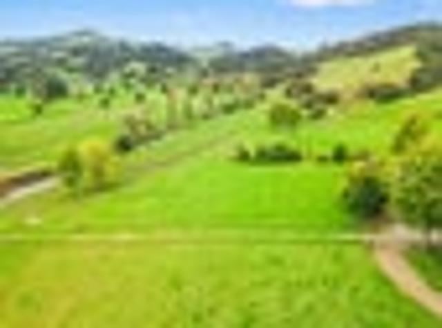 Lifestyle farm on the edge of town!