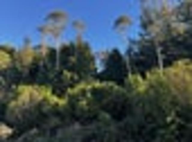 Lifestyle Opportunity on Rutherglen