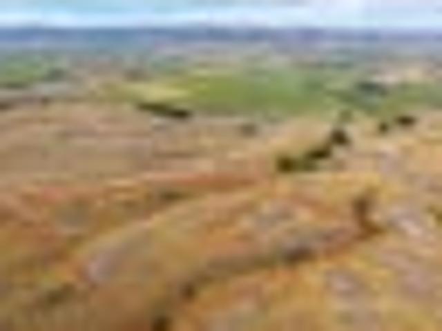 Lifestyle Land for a Section Spend