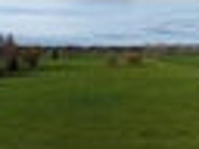 Lifestyle Section Minutes from Otorohanga