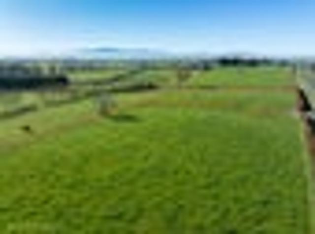 Lifestyle sections 4,000sqm and 6,000sqm