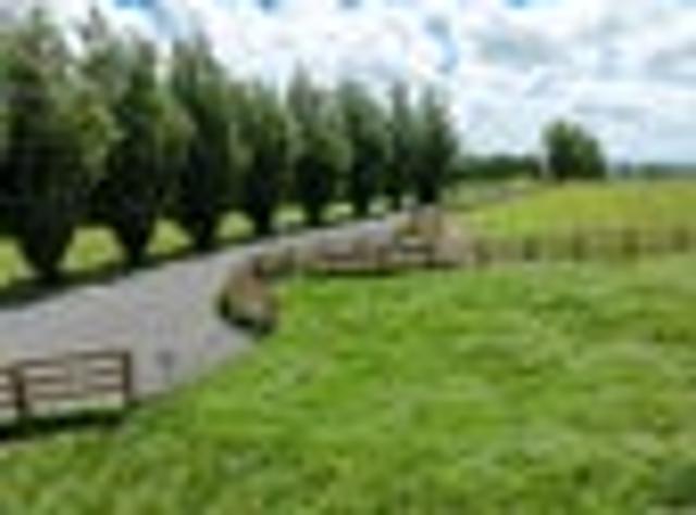 Lifestyle Sections in the Waikato Heartland