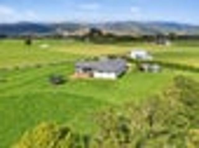 Lifestyle Space, Deckside Living & Views