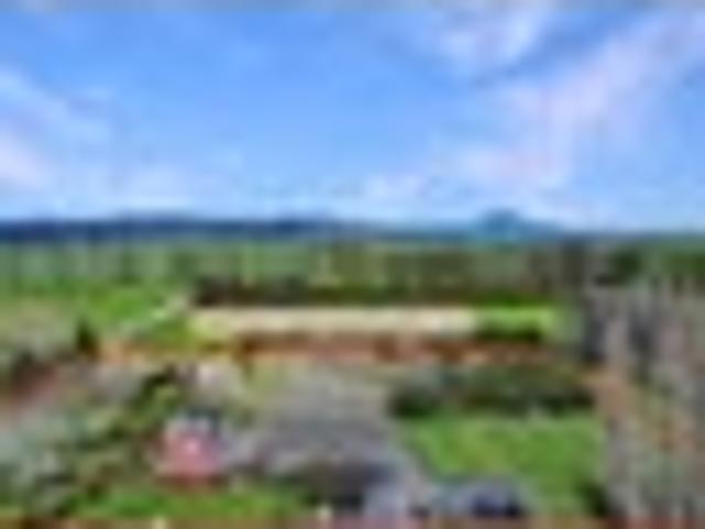 Lifestyle, residential and commercial all in one