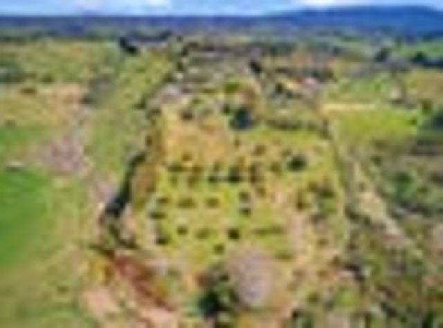 Lifestyle – Touching Distance to Tauranga