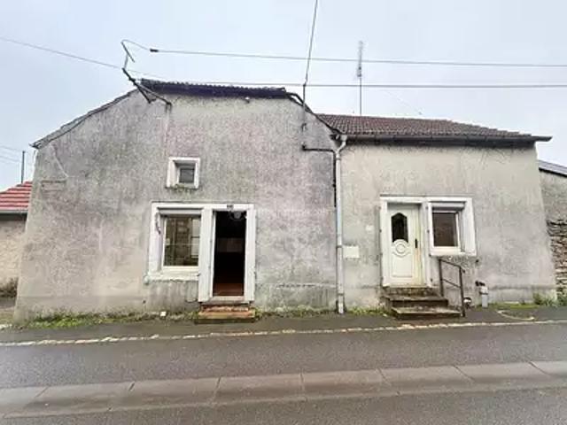 Liffol le Grand 88350 Achat / Vente maison 4 pièces t4 cave