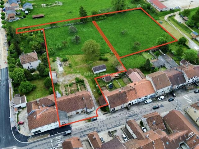 Liffol le Grand Vente Maison 88