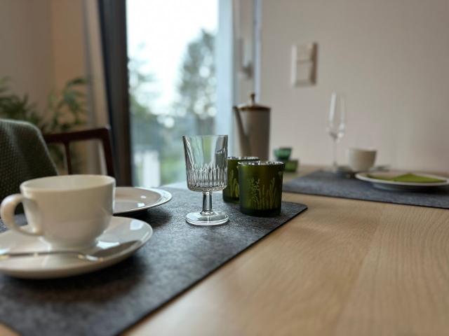 Light flooded new apartment near the river Main Frankfurt Griesheim, Frankfurt Amsterdam Apartments for Rent