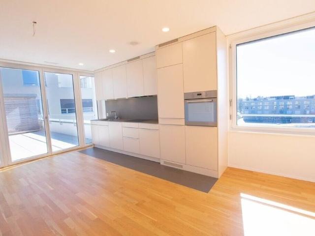 Light flooded 3.5 room apartment with large terrace