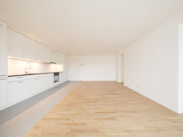 Light flooded 4.5 ZWG in the heart of Olten