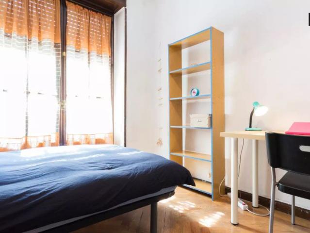 Light room with standalone wardrobe in shared apartment, Chamberí