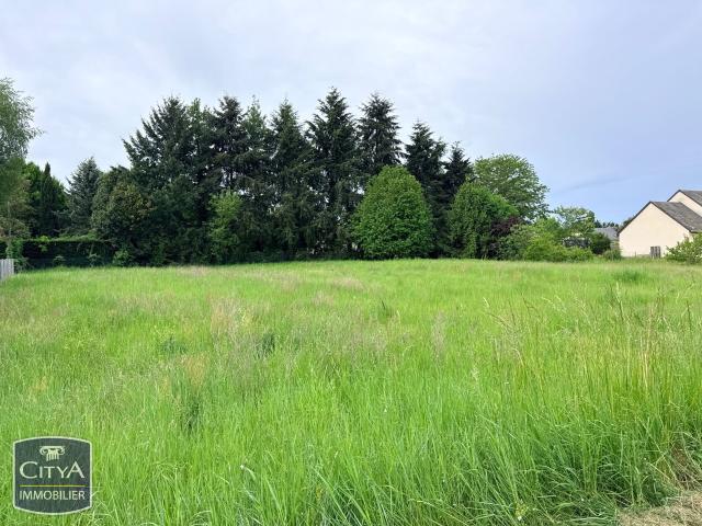 Ligré Vente Terrain 37