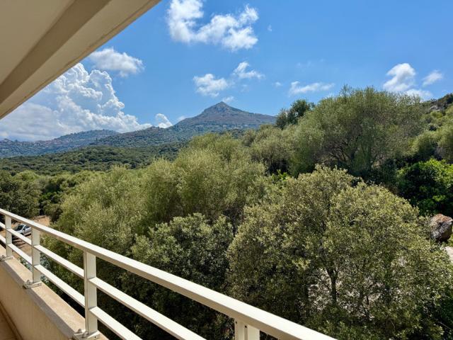 L'Île Rousse Vente Appartement 20
