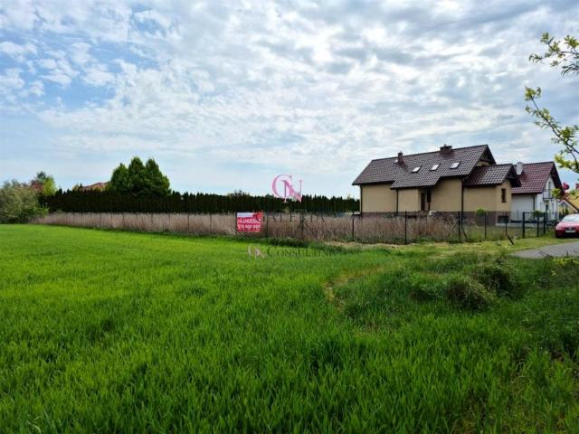 Liliowa 727 m², Łysomice