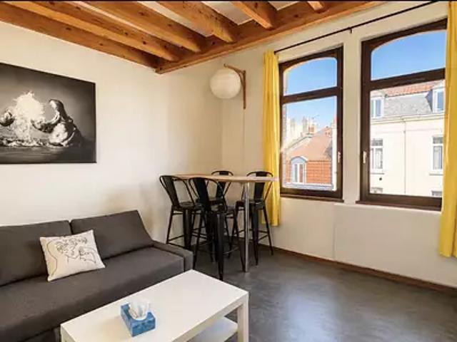 Lille 59000 Achat / Vente appartement 2 pièces t2 au dernier étage