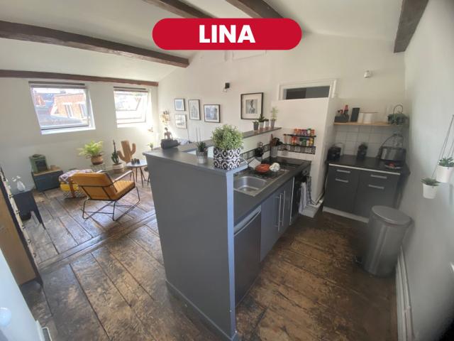 Lille Vente Appartement 59
