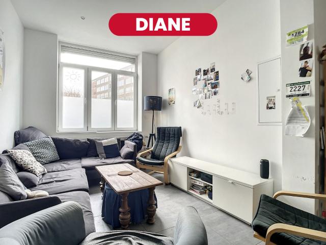 Lille Vente Maison 59