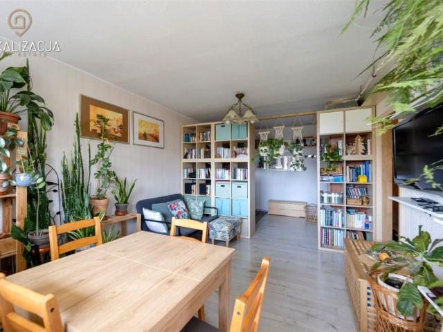 Lilli Wenedy 69 m², Kraków