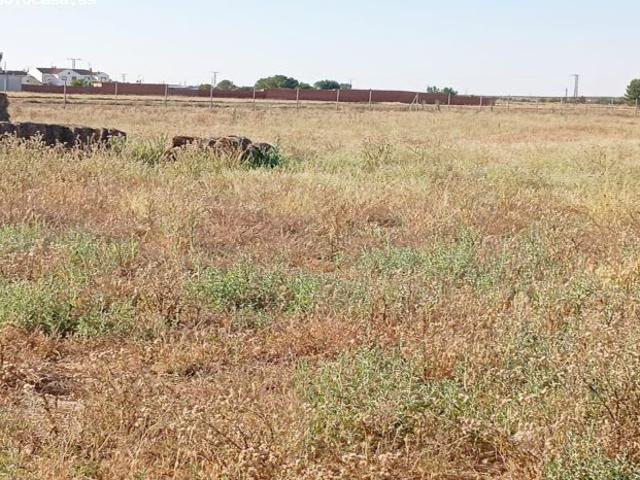 LILLO: Tu refugio en la naturaleza a un paso de este hermoso pueblo