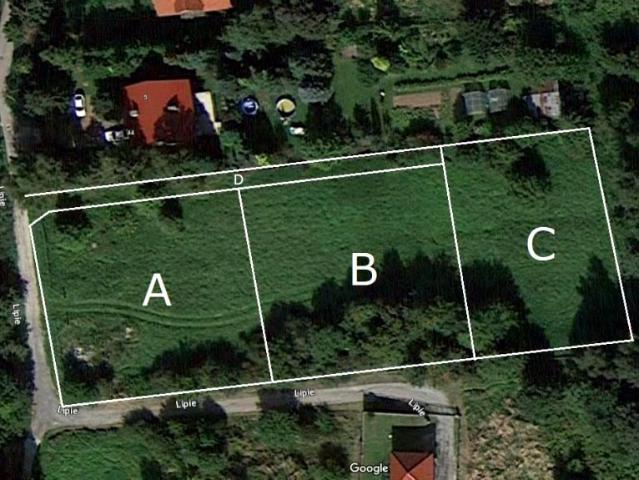 Lipie 1 451 m², Bochnia
