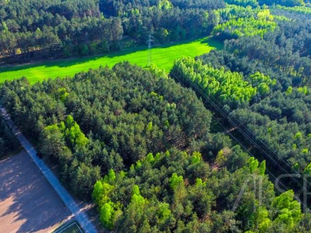 Lipnik 1 245 m², Nowe Bosewo