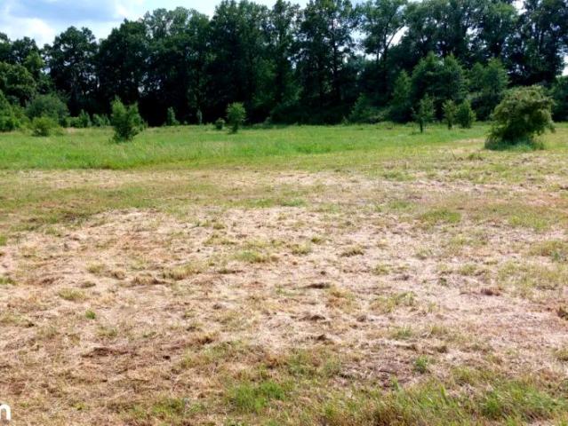 Lipowa 13 950 m², Brzezinka Średzka