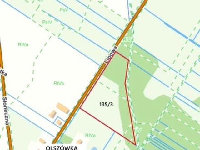 Lipowa 1 500 m², Olszówka