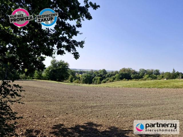 Lipowa 1 057 m², Wicko