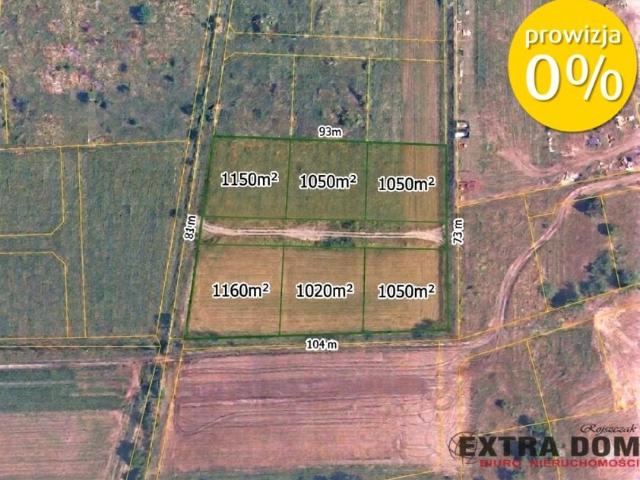 Lipowa 1 150 m², Lubczyna